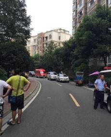 成都港的最新爆料,揭秘港口发展新动向与未来蓝图 第1张 成都港的最新爆料,揭秘港口发展新动向与未来蓝图 第1张